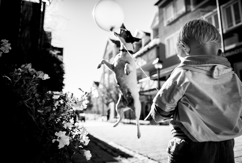 Hochzeitsfotograf Bayern_047.jpg