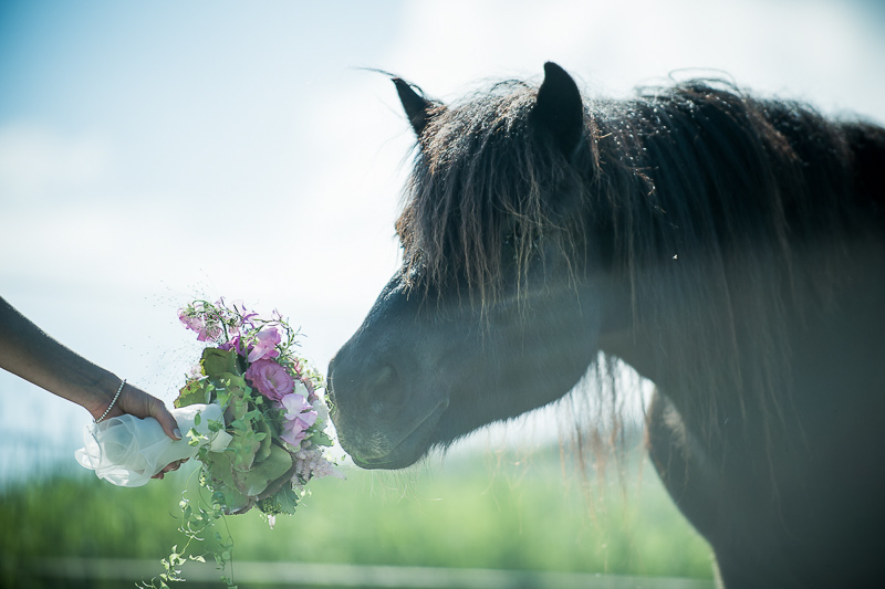 Hochzeitsfotograf Hessen_046.jpg