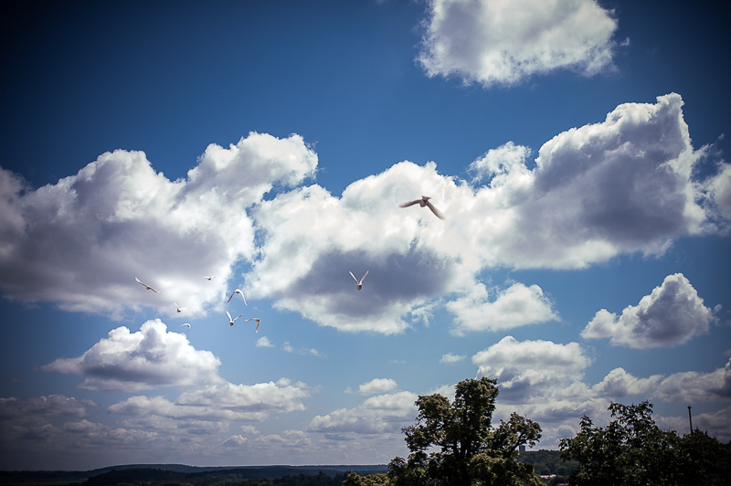 Hochzeitsfotograf Quedlinburg_027.jpg