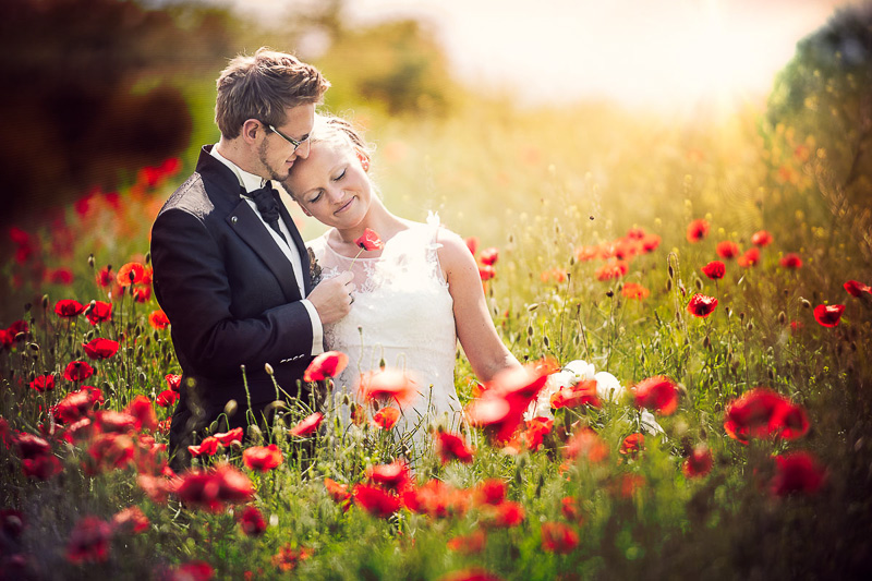 Hochzeitsfotograf Quedlinburg_076.jpg