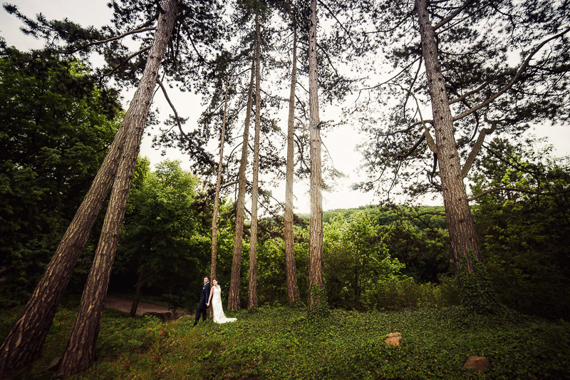 Hochzeit-Schlosshotel-Ballenstedt_028.jpg