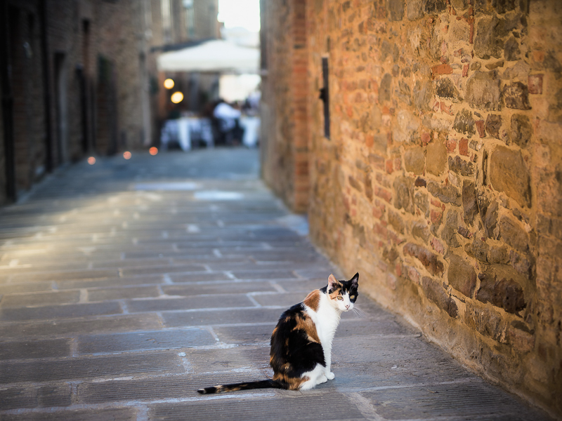 Hochzeitsfotograf-Italien_005.jpg