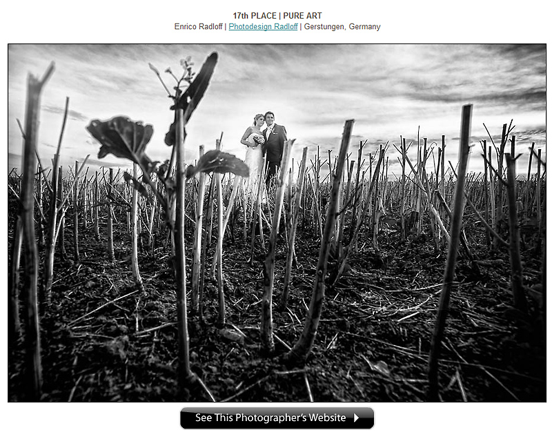 tl_files/img/Blogbilder/Auszeichnungen/004 Hochzeitsfotograf ISPWP.jpg